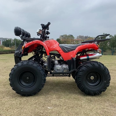 Atv 4 Radantrieb Strand Buggy 4X4 1000cc
