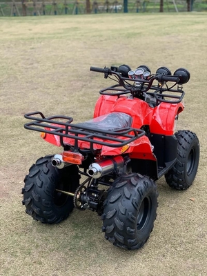 Atv 4 Radantrieb Strand Buggy 4X4 1000cc