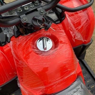 Atv 4 Radantrieb Strand Buggy 4X4 1000cc