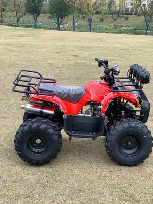 Atv 4 Radantrieb Strand Buggy 4X4 1000cc