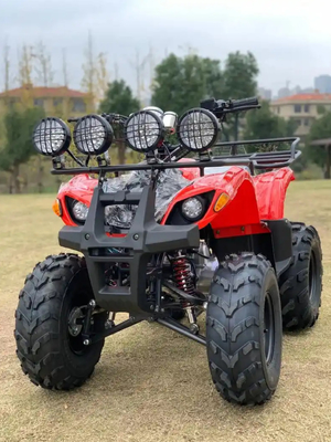 Atv 4 Radantrieb Strand Buggy 4X4 1000cc